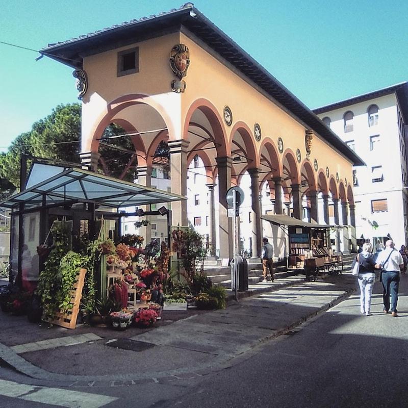 Medusa Affittacamere Firenze